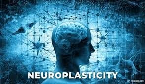 neuro 1