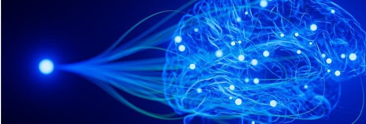 Transform Your Learning Experience with Neuroscience