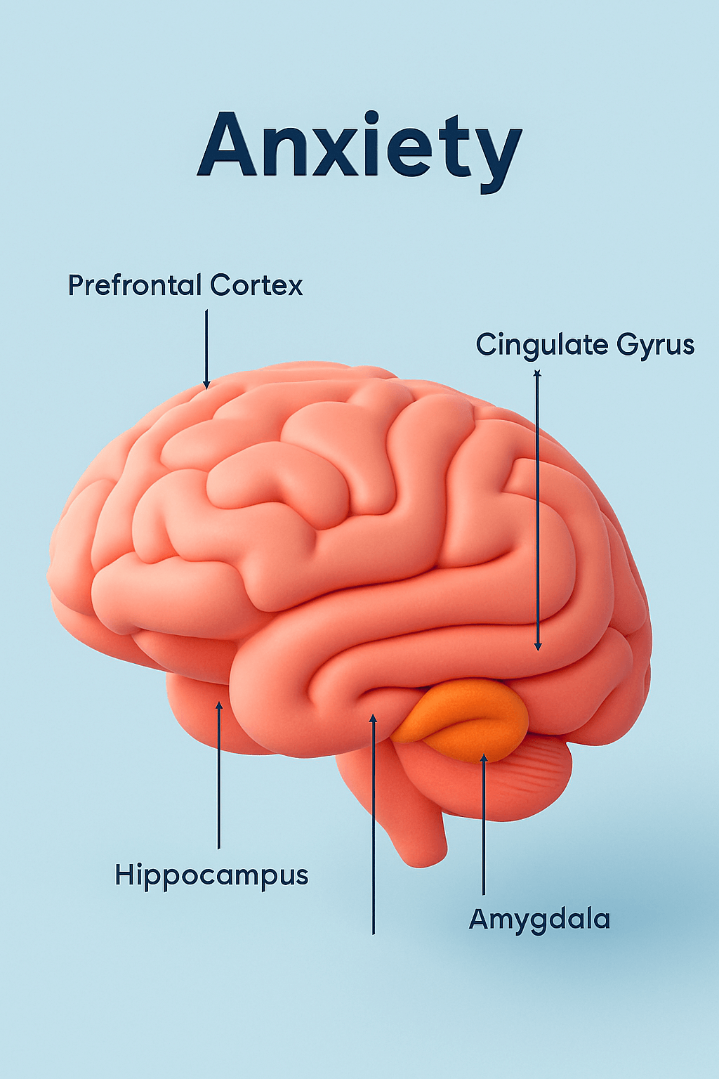 Understanding Anxiety Disorders – A Beginner’s Guide