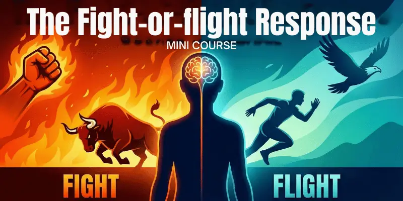 The Fight-or-Flight Response